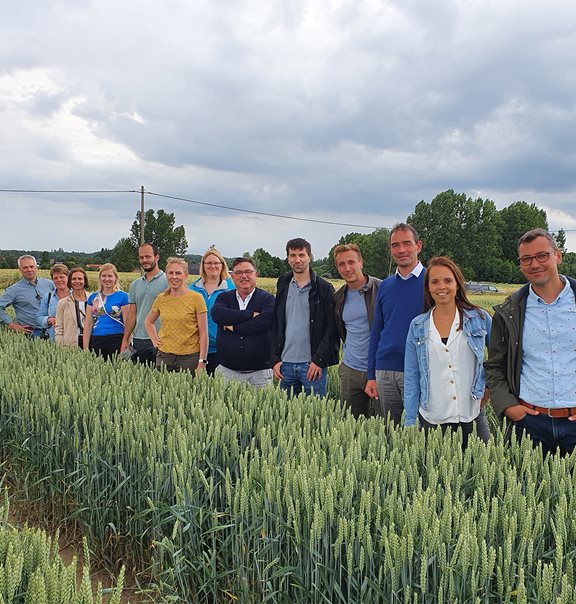 photo de groupe de champs de blé